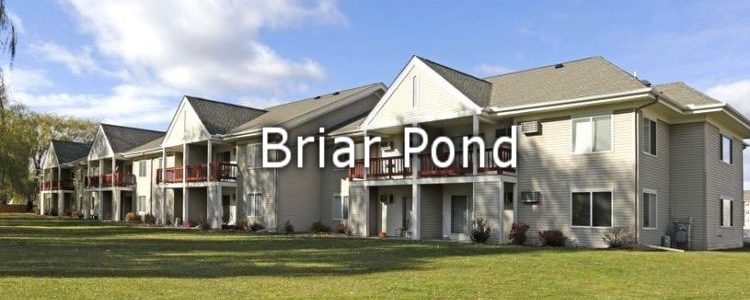 briarpond